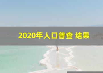 2020年人口普查 结果